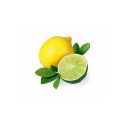 Sentiotec esencia do pary 5L citrón