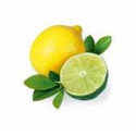 Esencia do pary 5l citrón