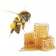 Sentiotec peelingová sůl do sauny s vůní medu 1000g